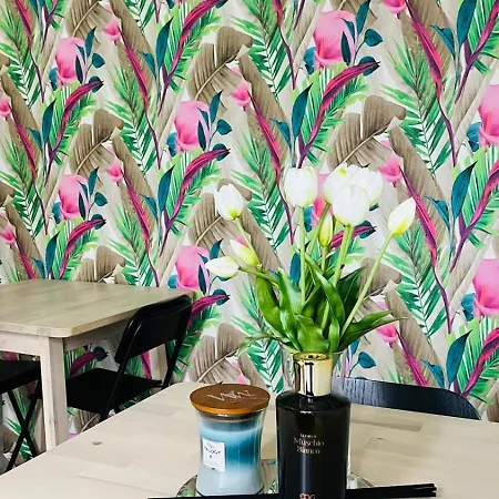 A Casa Di Gemma לינה וארוחת בוקר נאפולי